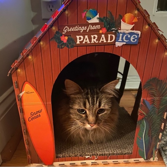 Heart to Tail Snow Cone Shack Cat Scratching
Playhouse 12 x 20 x 16” Kitty Fun - Picture 2 of 6